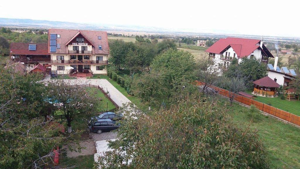 Pensiunea Roua Muntilor Симбета-де-Сус Екстер'єр фото