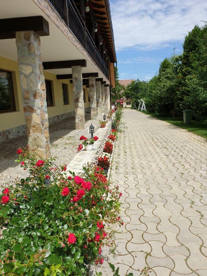 Pensiunea Roua Muntilor Симбета-де-Сус Екстер'єр фото